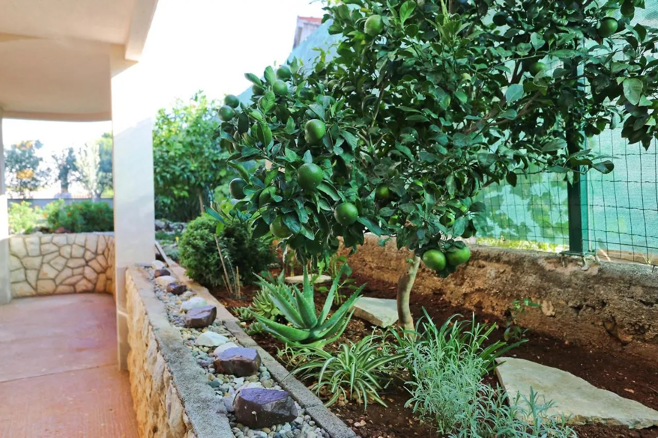 Apartment Apartman Dani Zadar